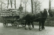 De Alkmaarse meelfabriek vervoerde haar meelbalen naar de bakker met paard en wagen. Collectie Nederlands Bakkerijmuseum.