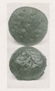 Eenvoudig driekoningenbrood uit het eerste kwart van de 20e eeuw, vastgelegd door Catharina van der Graft