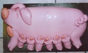 Een varken van marsepein zou geluk brengen