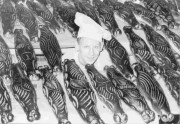 Bakkersjongen temidden van versgebakken duivekaters, omstreeks 1950