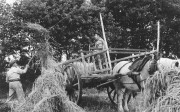 De schoven of garven worden op de kar geladen. Collectie Nederlands bakkerijmuseum.